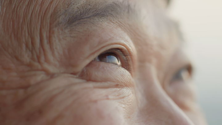 a close-up shot of an old man's eyes